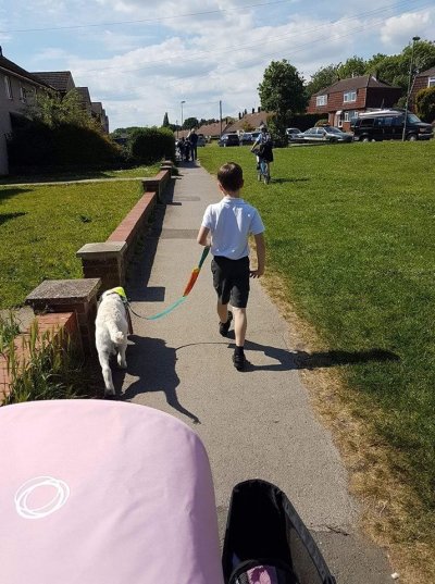 Charity Pawsitive Squad CIC Helps 9 Year Old Boy With Autism