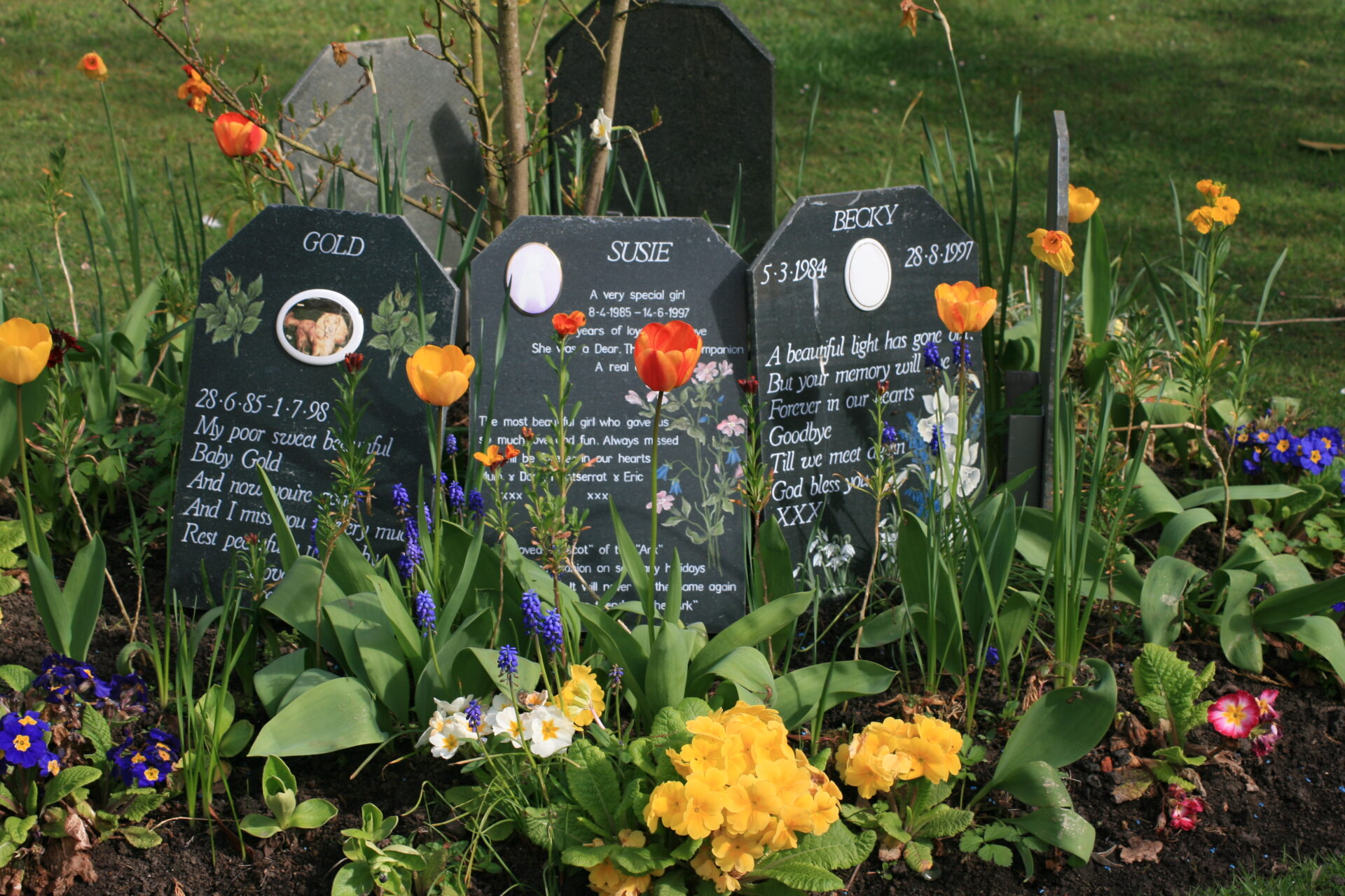 Hardwood Sword Marker Garden Pet Memorial