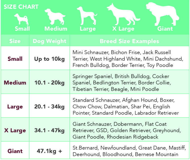 Dog Cremation - Dignity Pet Crematorium