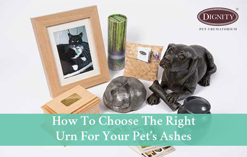 How To Choose The Right Urn For Pet Ashes